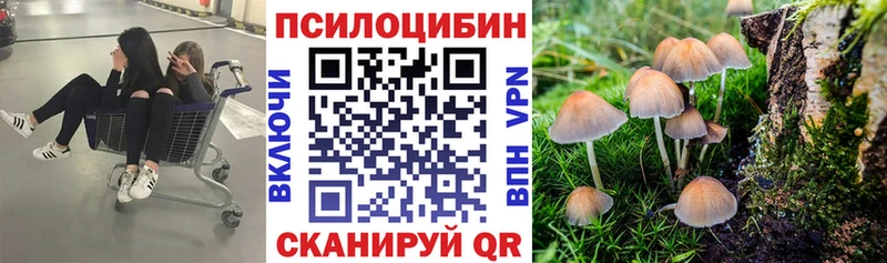 Псилоцибиновые грибы GOLDEN TEACHER  купить наркоту  Мценск 