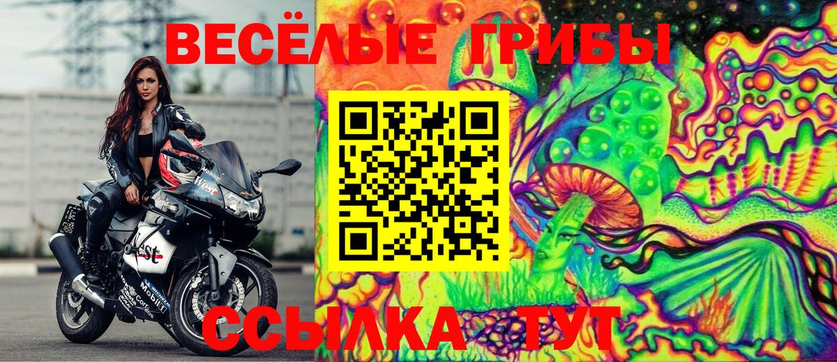 Псилоцибиновые грибы прущие грибы  как найти   Мценск  Вход с VPN 