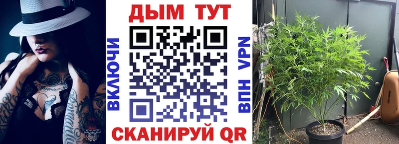 Шишки марихуана марихуана маркетплейс телеграм Мценск